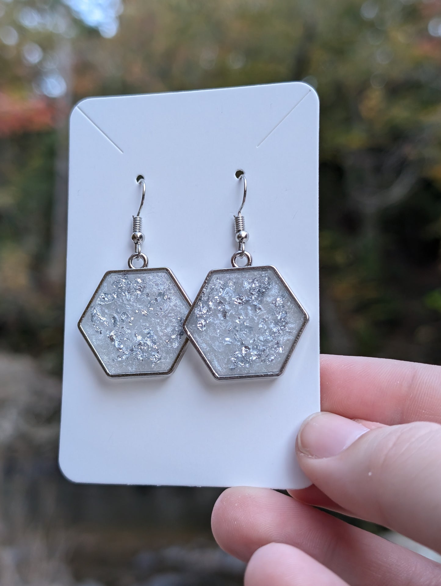 Cordelia Earrings in Silver