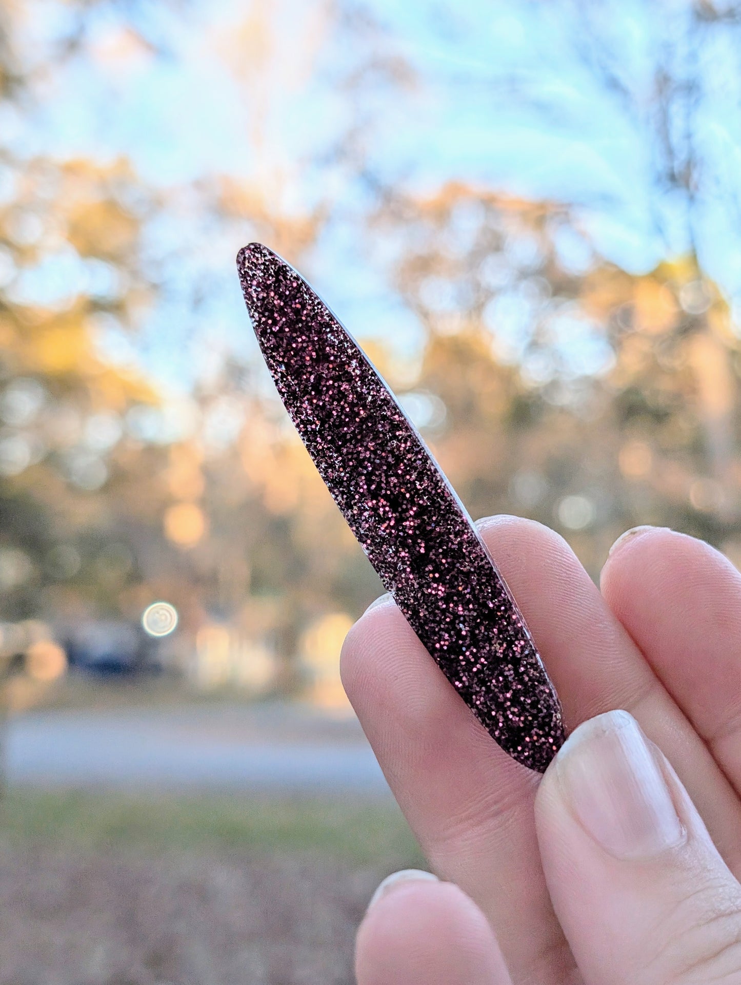 Glitter Hairclips